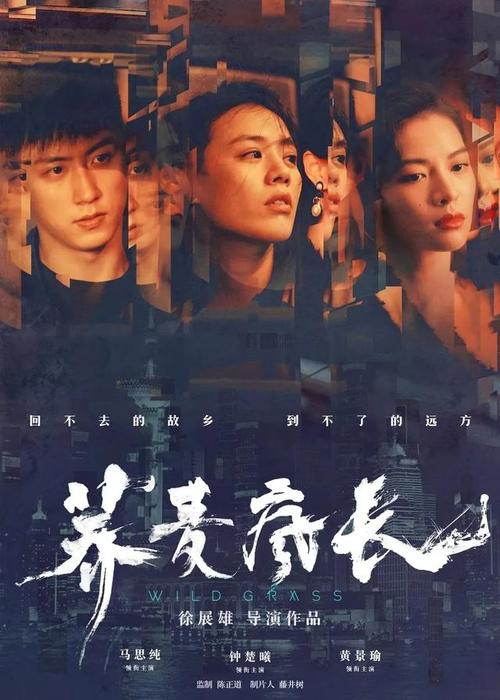 一比一仿北卡罗来纳州身份证